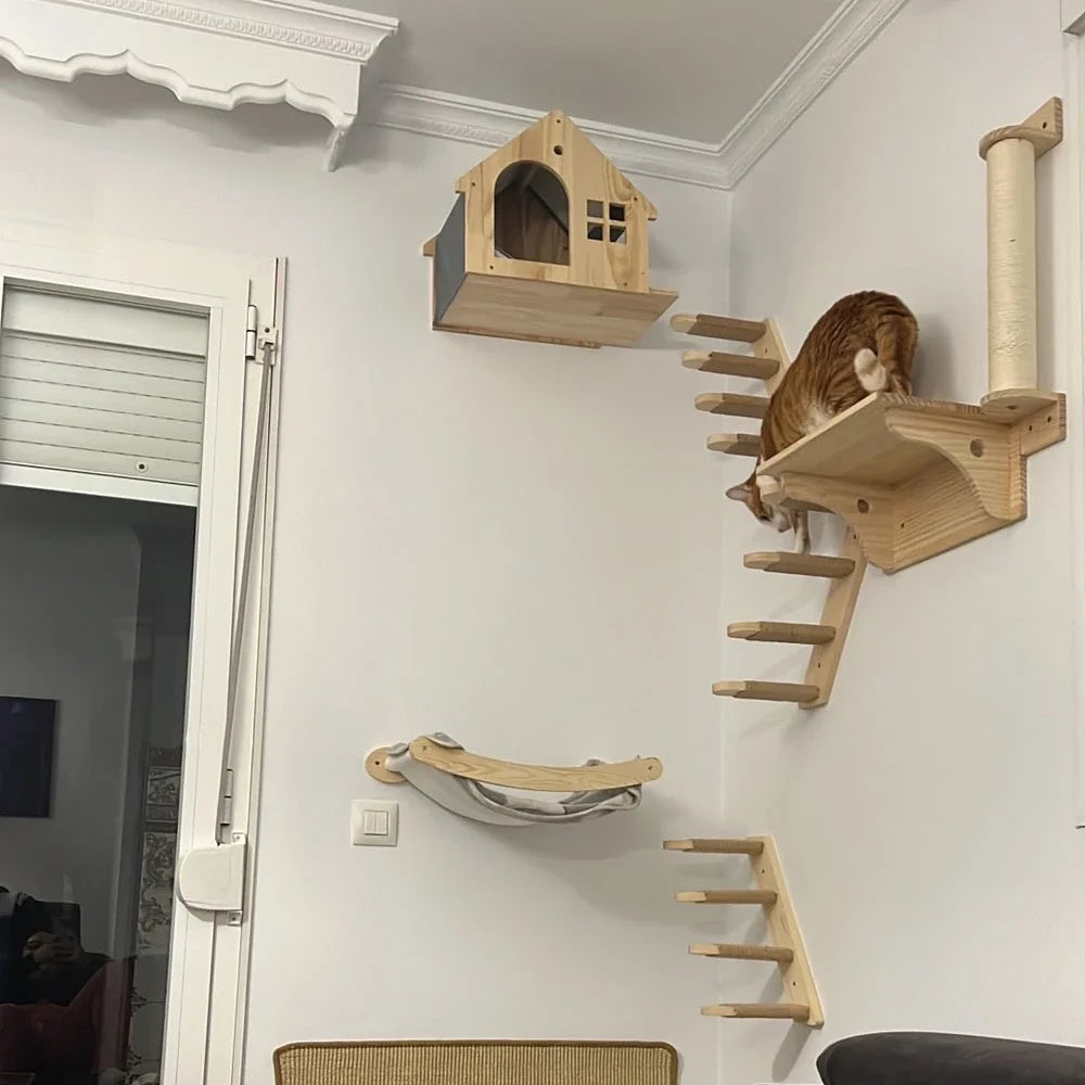 Cat House Climbing