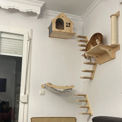 Cat House Climbing