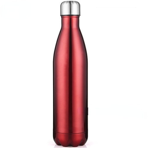 350/500/750/1000ml Double Wall Stainless Steel Water Bottle