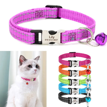 Gato con collar. Varios collares de colores