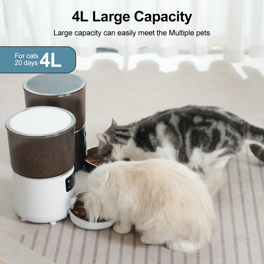 Automatic Cat Feeder With Camera