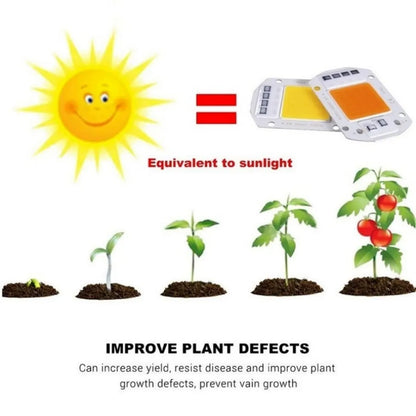 Lámpara led para las plantas