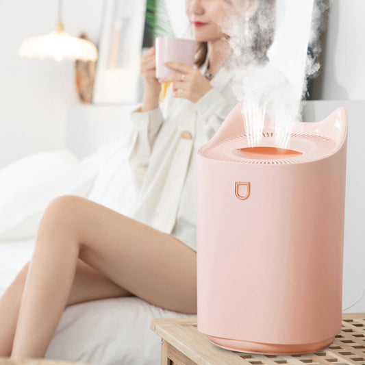3L Air Humidifier Essential Oil Aroma Diffuser Double Nozzle With
