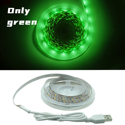 Flexible Lamp Led Strip Light 1m 2m 3m 4m 5m - Alicetheluxe