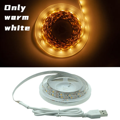 Flexible Lamp Led Strip Light 1m 2m 3m 4m 5m - Alicetheluxe