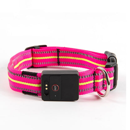 Waterproof Reflective Dog Collar Led Usb Rechargeable