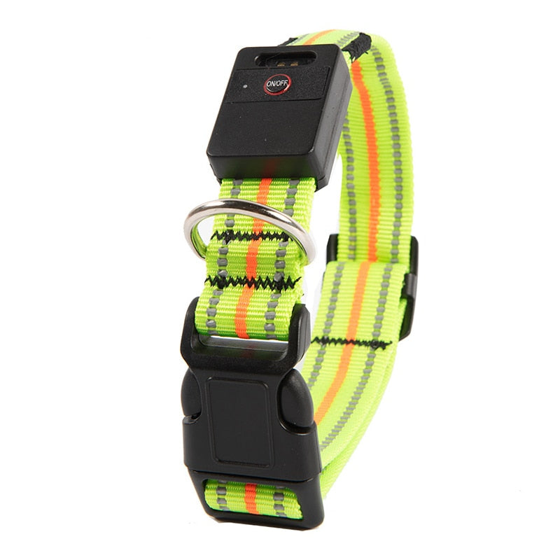 Waterproof Reflective Dog Collar Led Usb Rechargeable