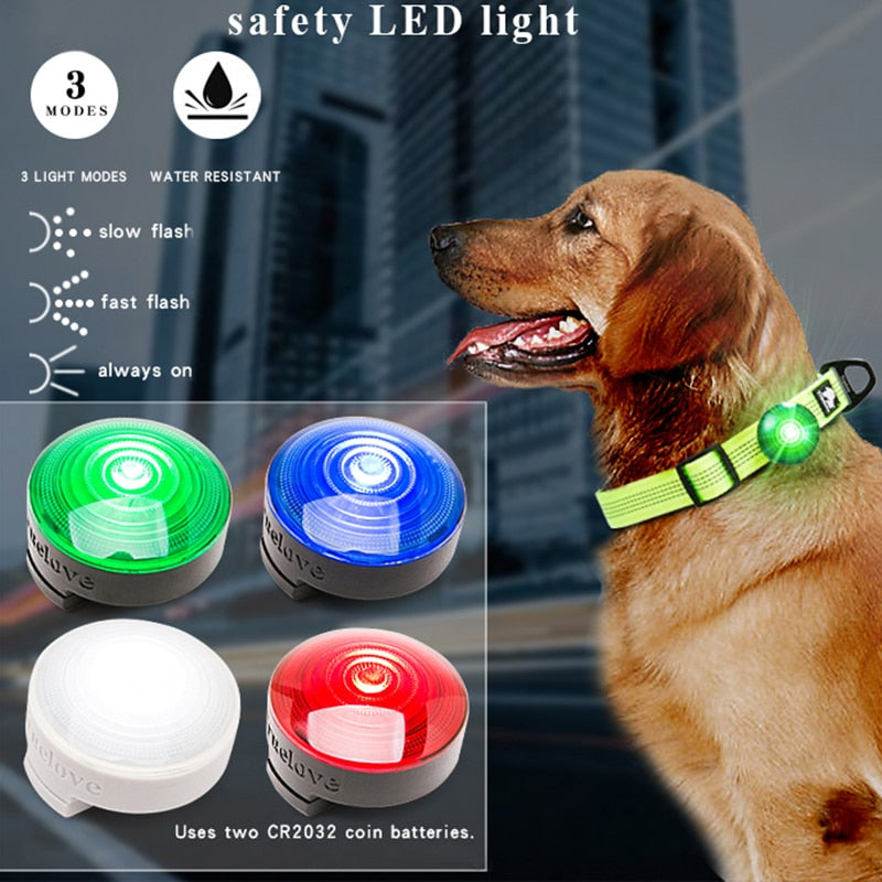 Pet Dog Led Light Lamp Tag Collar Light Pendant Glow Night