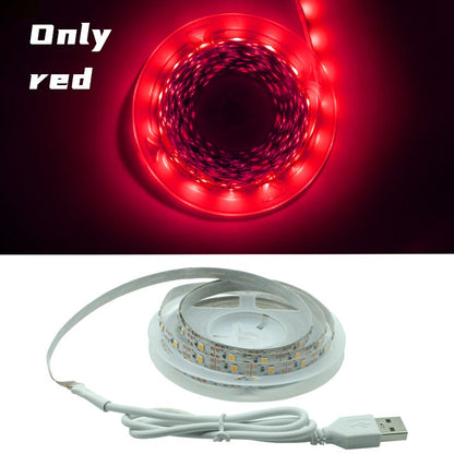 Flexible Lamp Led Strip Light 1m 2m 3m 4m 5m - Alicetheluxe