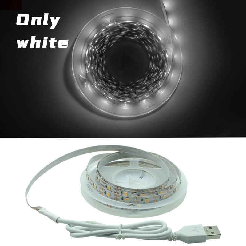 Flexible Lamp Led Strip Light 1m 2m 3m 4m 5m - Alicetheluxe