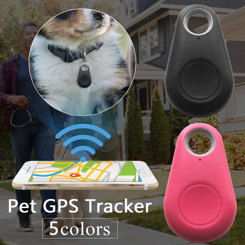 Smart Gps Pet Locator Anti-lost Alarm Tag Wireless Dog Collar Locator