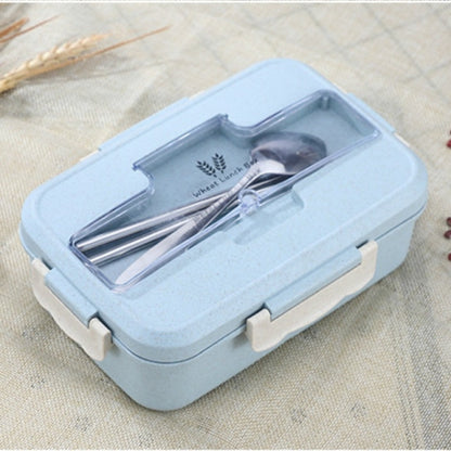 Lunch Box Food Container for Students and Kids - Alicetheluxe